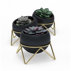 Набор из 3 горшков для растений на подставке Potsy черный-латунь Umbra 1013191-1137