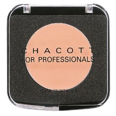 Chacott Тональный крем Stage Foundation, 4 г, оттенок: 409