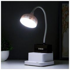 Лампа настольная Risalux 20*LED, 5 Вт, 4 режима, АКБ, USB, бело-черный, 11*12*43 см
