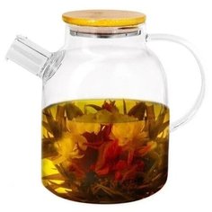 Заварочный чайник Greenberg GB-5565, 1700мл