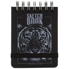 Блокнот SKETCHBOOK BV, 100х130 мм, 120Л, черный 110 гр. На гребне (4 вида), в ассортименте Bruno Visconti