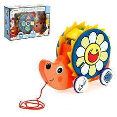 Каталка на веревке "Ёжик" сортер 4738430 Сима ленд