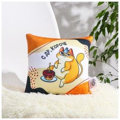 Подушка антистресс "С др, короче" 6494079 mni mnu