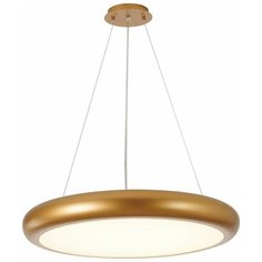 Favourite 2829-1PC Люстра с ПДУ Smiler