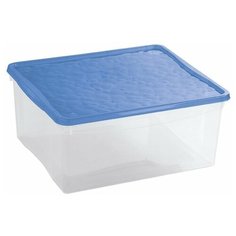 Econova Ящик универсальный Bubble boom 40х33х17 см прозрачный/синий