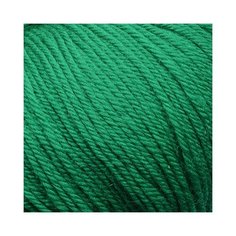 Пряжа для вязания ПЕХ Детский каприз тёплый (50% мериносовая шерсть, 50% фибра) 10х50г/125м цв.511 зеленка Пехорка