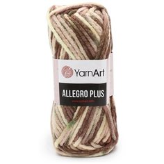 Пряжа YarnArt Allegro Plus 100гр 110м (16% шерстъ, 28% полиамид, 56% акрил) (750 секционный) 5 шт