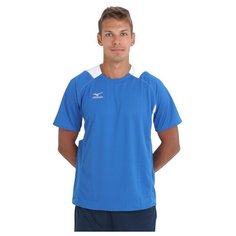 Футболка мужская MIZUNO U2GA5A51 22 TRAD TEE цвет голубой размер S