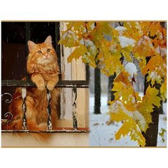 Картина по номерам с цветным холстом Molly 30х40 см Последний день осени