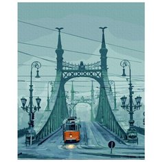 Картина по номерам Molly 40х50 см Будапешт. Мост свободы