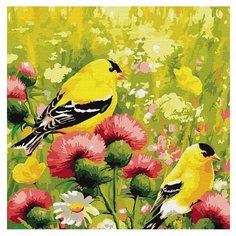 Molly картина по номерам "Иволги" 30х30 см (KH0738)