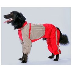 Комбинезон для собак породы родезийский риджбек (мальчик) "Тузик" холодный