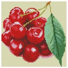Алмазная вышивка (мозаика) "Вишня", 20x20 см Art Xobby