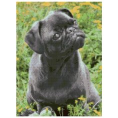 Алмазная вышивка (мозаика) "Мопс в траве", 30х40 см Art Xobby