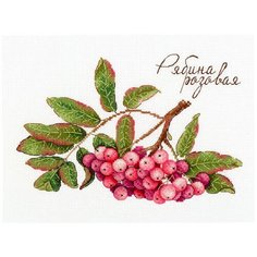 Набор для вышивания М.П.Студия "Дары природы. Рябина розовая" 20х15 см