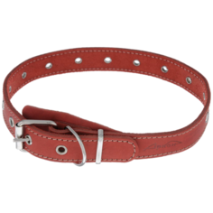 Ошейник Аркон Стандарт (о25ун), обхват шеи 54 см красный
