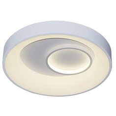 Накладной светильник Escada 10207 10207/2LED
