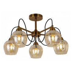 Люстра на штанге EVOLUCE Acro SLE110002-05