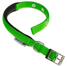 Ошейник Ferplast Daytona (C15/35), обхват шеи 27-35 см зеленый