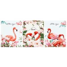 Картина по номерам PX 5279 Грация фламинго 40x50см*3 Paintboy