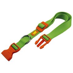 Ошейник Ferplast Club Colours (C20/56), обхват шеи 36-56 см зеленый