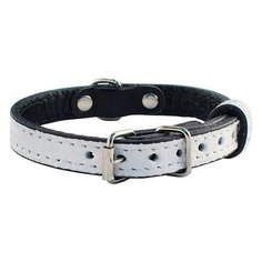 Ошейник Дарэлл Брайт (710012), обхват шеи 20-26 см белый