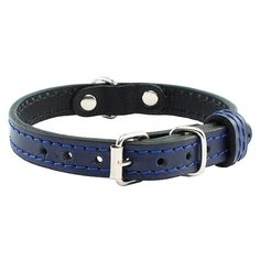 Ошейник Дарэлл Брайт (710012), обхват шеи 20-26 см синий