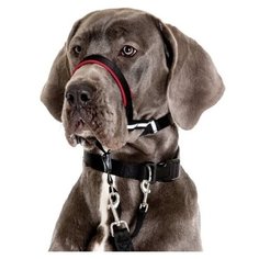 Недоуздок для собак COA "HALTI Headcollar", Size 5, черный, 51-73см (Великобритания)
