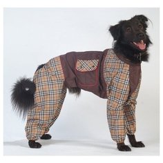 Комбинезон для собак породы бульмастиф (мальчик) "Тузик" холодный