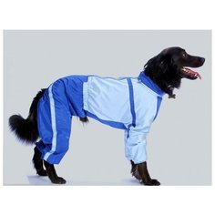 Комбинезон для собак породы питбуль (мальчик) "Тузик" теплый