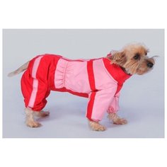 Комбинезон для собак породы бигль (девочка) "Тузик" теплый