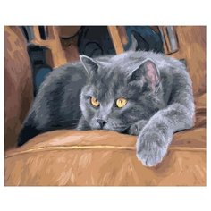 Картина по номерам Paintboy, 34927 Дымчатая кошка задумалась 40x50см