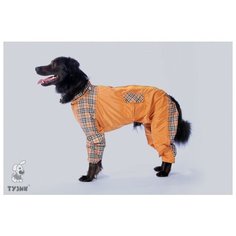 Комбинезон "Тузик" тёплый, для собак породы чихуахуа (мальчик)