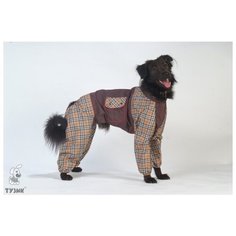 Комбинезон "Тузик" тёплый, для собак породы русский спаниель (мальчик)