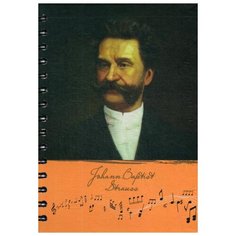 Скетчбук "Рисуй и слушай! Штраус" Попурри