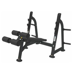 Скамья для жима с отрицательным наклоном BRONZE GYM BR-1013