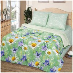 Постельное белье бязь артдизайн полюшко 2-х спальное с евро простыней Iv Selena