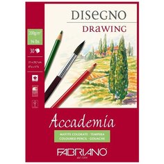 Блокнот для эскизов на спирали Fabriano "Accademia Disegno" А4 30 л 200г/м.кв 44202129