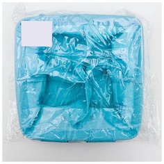 Корзина для хранения Доляна с ручками, "Кактус", 4 ячейки, 20*20*11 см, голубая (5060153)