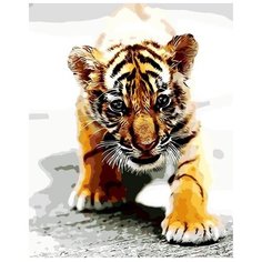 Цветной Картина по номерам "Тигренок" 40х50 см (MG7417)