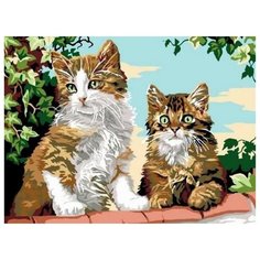 Картина по номерам Котята на заборе, 30x40 см. Цветной