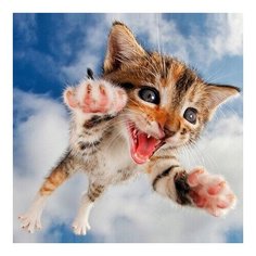 Алмазная мозаика Я лечу... , картина стразами Molly 30x30 см.