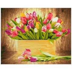 Картина по номерам Тюльпаны, 40x50 см. PaintBoy