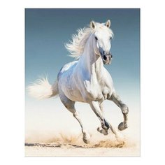 Алмазная мозаика Белая лошадь, картина стразами Цветной 40x50 см.