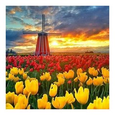 Алмазная мозаика Поля тюльпанов в Нидерландах, картина стразами Molly 30x30 см.