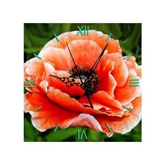 Алмазная мозаика Нежный мак - алмазные часы, картина стразами Color KIT 30x30 см.