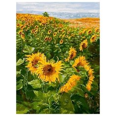 Картина по номерам Солнечные братья, 30x40 см. Белоснежка