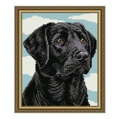 Алмазная мозаика Лабрадор, картина стразами АРТ СОЛО 20x24.6 см. Art Solo