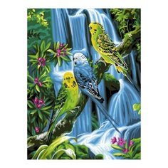 Картина по номерам Волнистые попугаи, 30x40 см. Цветной