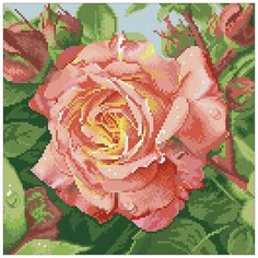 Алмазная мозаика Чайная роза, картина стразами Паутинка 30x30 см.